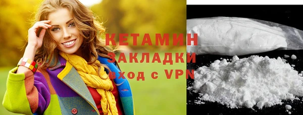 шишки Покачи