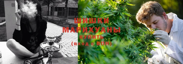 молекула духа Аркадак