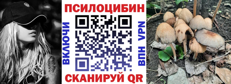 Псилоцибиновые грибы мицелий  ОМГ ОМГ ссылки  Макарьев 
